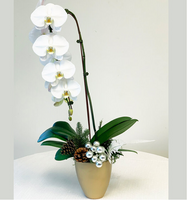 "Festive Orchid"